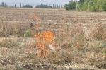 От кризиса к стабильности От кризиса к стабильности