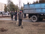 Каракольцы посадили деревья мира Каракольцы посадили деревья мира